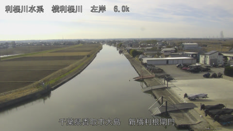 yoko2025123112_image