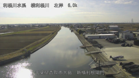 yoko2025123113_image