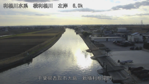 yoko2025123115_image