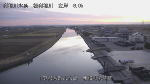 yoko2025123117_image