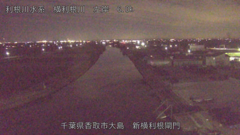 yoko2025123119_image