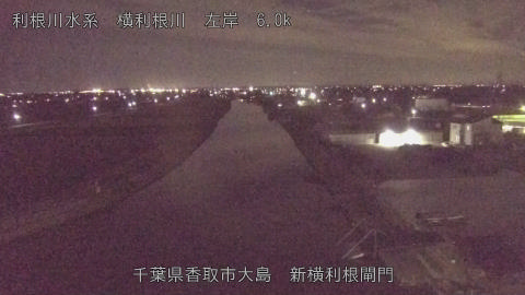 yoko2025123121_image