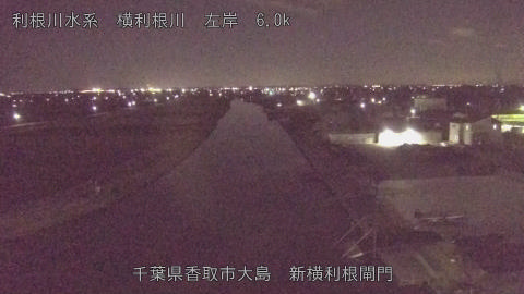 yoko2025123123_image