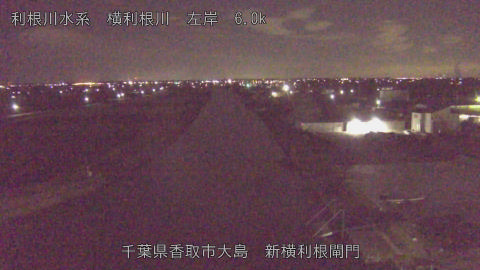 yoko2026010101_image