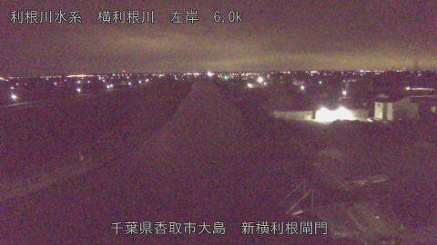 yoko2026010105_image