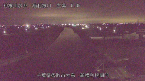 yoko2026010106_image