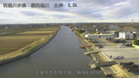 yoko2026010108_image