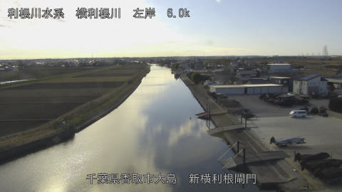 yoko2026010113_image