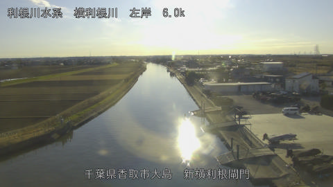 yoko2026010115_image