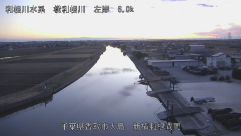 yoko2026010117_image