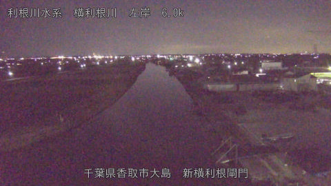 yoko2026010118_image