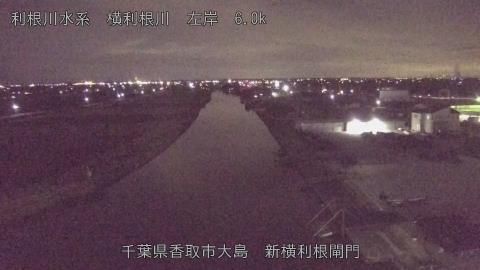 yoko2026010120_image