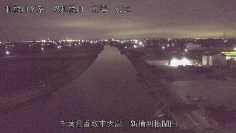 yoko2026010121_image