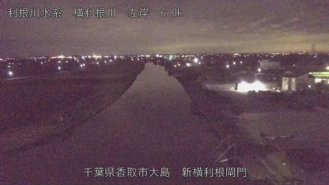 yoko2026010122_image