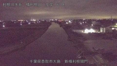 yoko2026010200_image