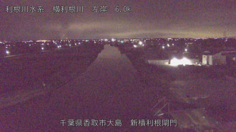 yoko2026010202_image