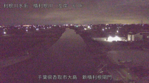 yoko2026010203_image