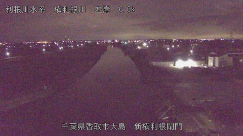 yoko2026010204_image