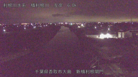 yoko2026010205_image