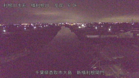 yoko2026010206_image