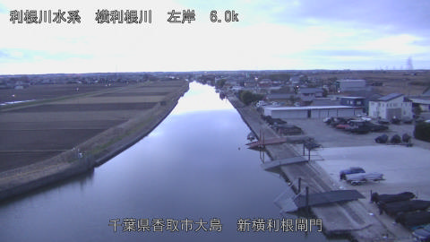 yoko2026010207_image