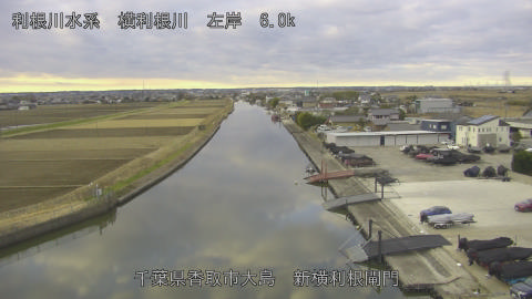 yoko2026010208_image