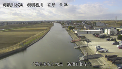 yoko2026010210_image