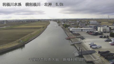 yoko2026010211_image