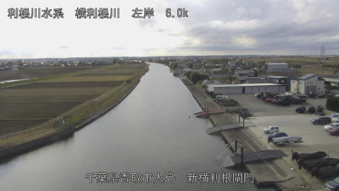 yoko2026010212_image