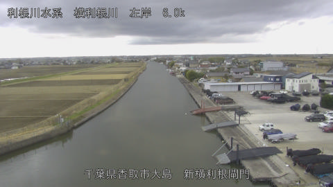 yoko2026010213_image