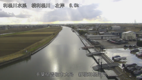 yoko2026010214_image