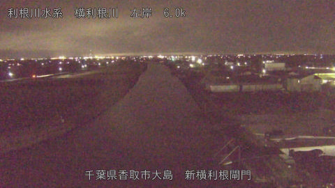 yoko2026010219_image