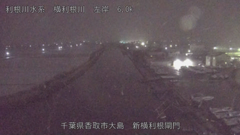 yoko2026010222_image