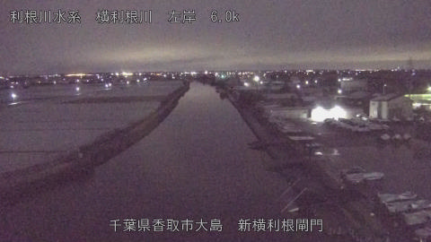 yoko2026010300_image