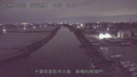 yoko2026010302_image