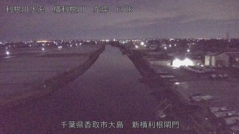 yoko2026010303_image