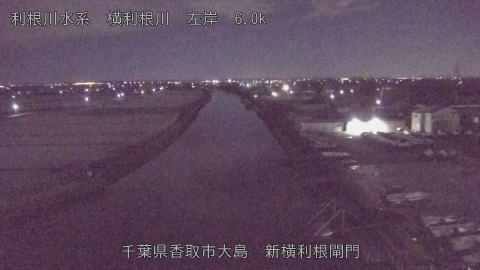 yoko2026010304_image