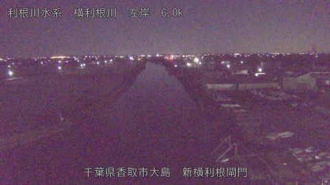 yoko2026010306_image