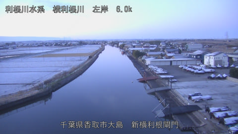 yoko2026010307_image