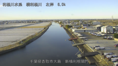 yoko2026010308_image