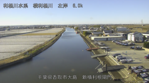 yoko2026010309_image