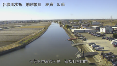 yoko2026010310_image