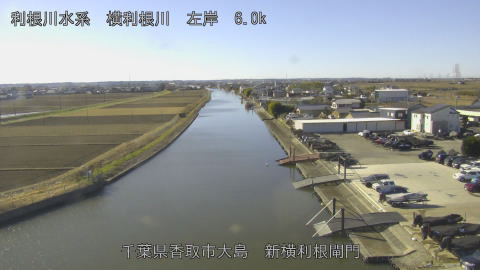 yoko2026010311_image