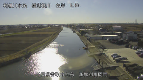 yoko2026010314_image