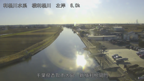 yoko2026010315_image