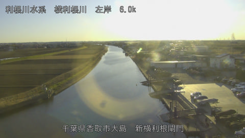 yoko2026010316_image