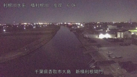 yoko2026010321_image