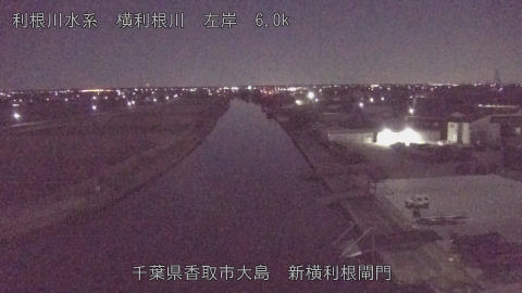 yoko2026010402_image