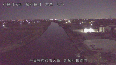 yoko2026010404_image