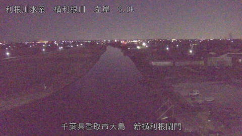 yoko2026010406_image